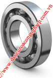 Bac đạn tròn SKF
